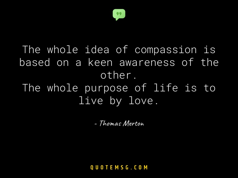 Image of Thomas Merton