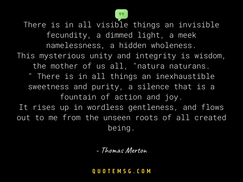 Image of Thomas Merton