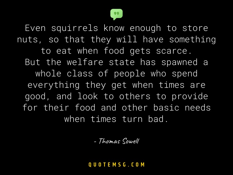 Image of Thomas Sowell