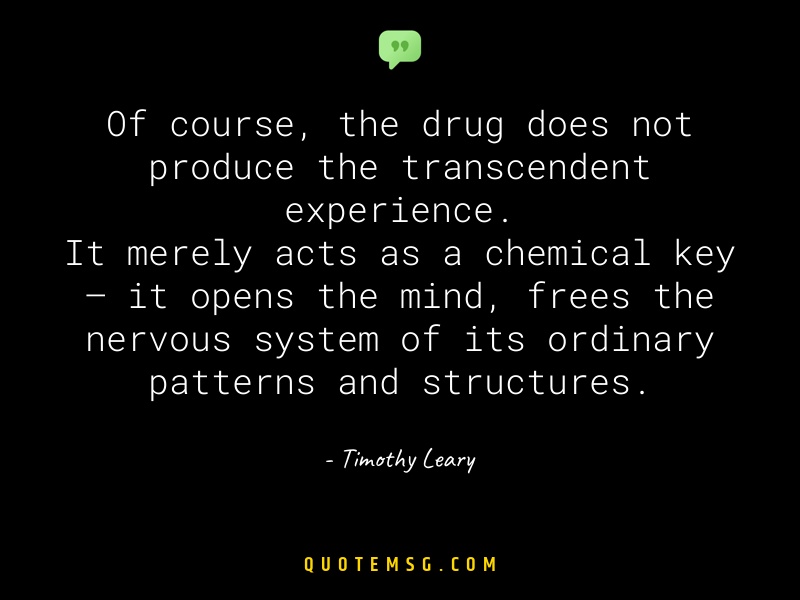 Image of Timothy Leary