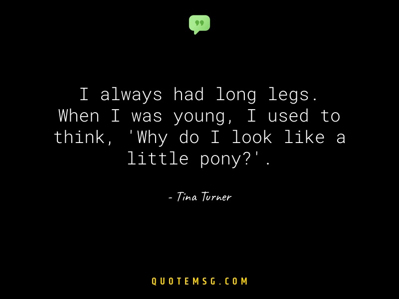 Image of Tina Turner