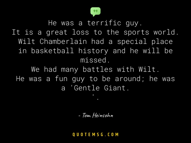 Image of Tom Heinsohn