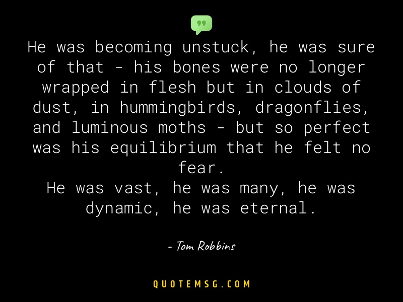 Image of Tom Robbins