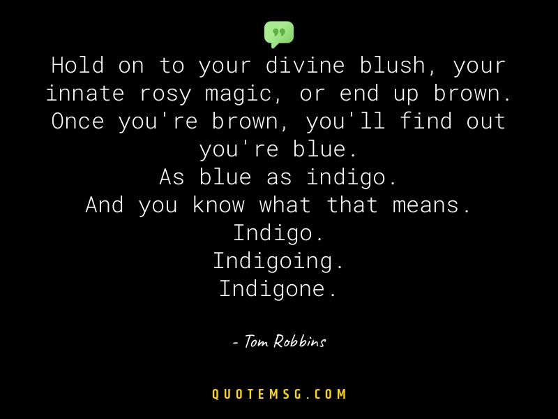 Image of Tom Robbins