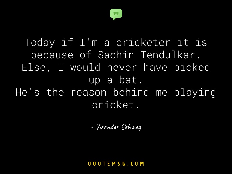 Image of Virender Sehwag