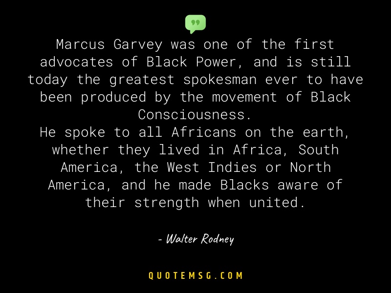 Image of Walter Rodney