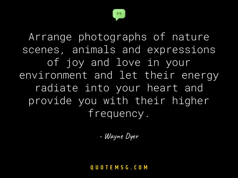 Image of Wayne Dyer