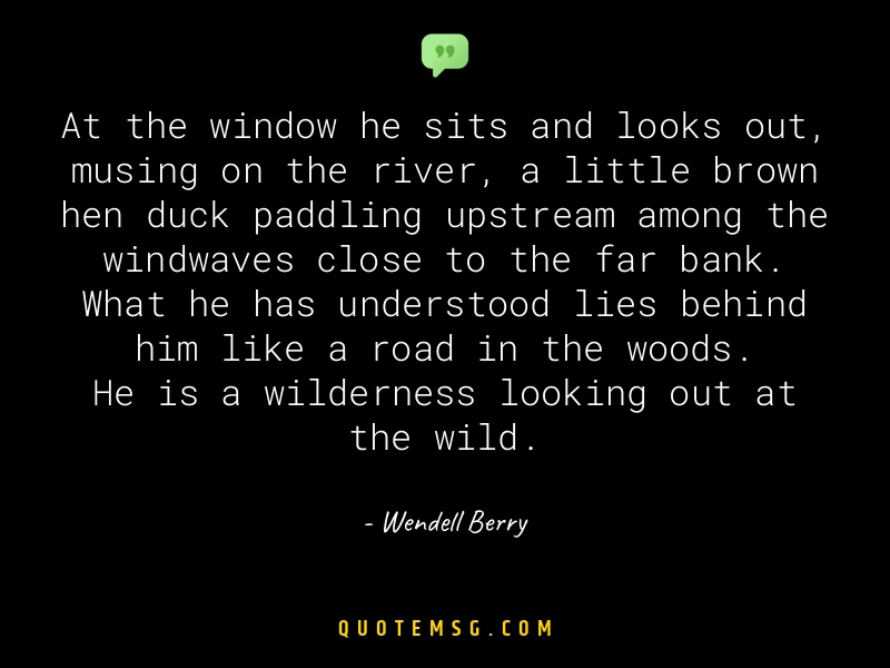 Image of Wendell Berry