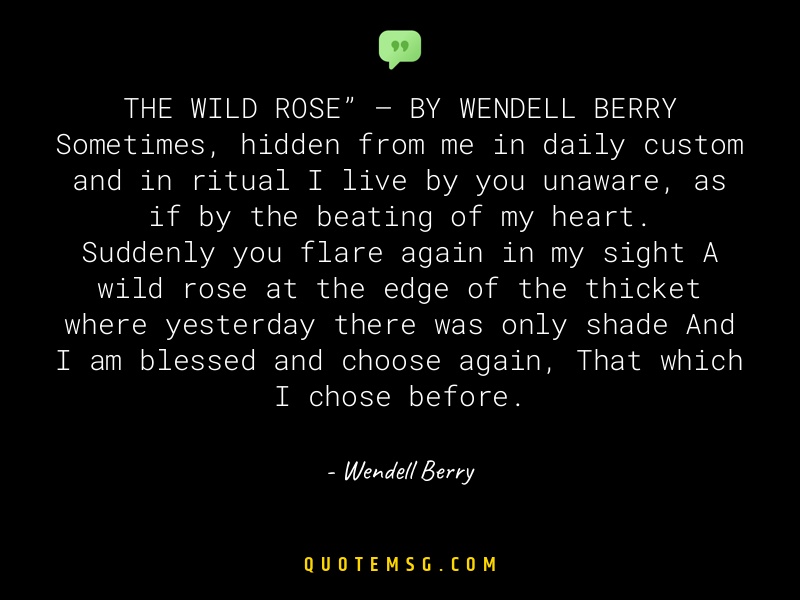 Image of Wendell Berry