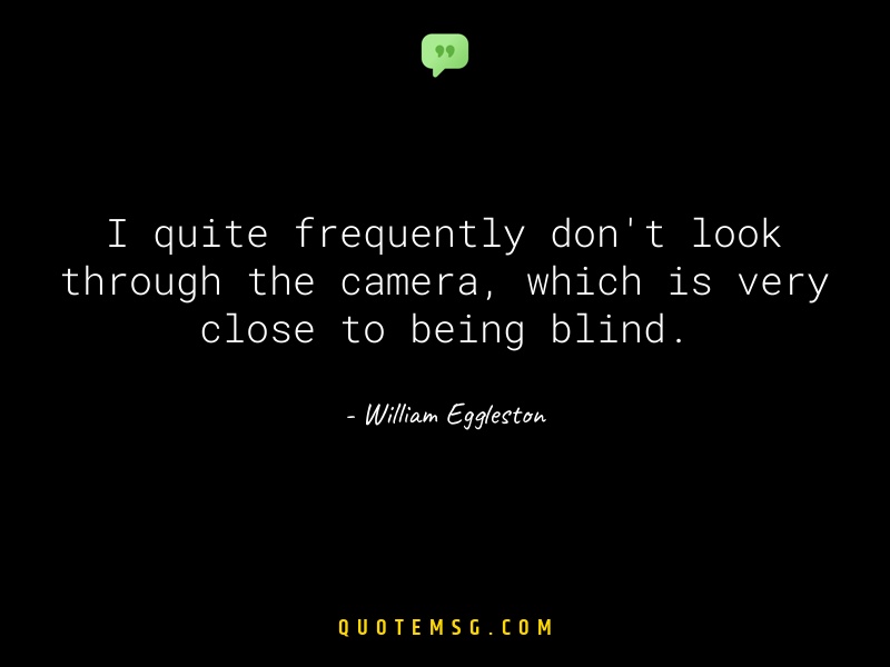 Image of William Eggleston