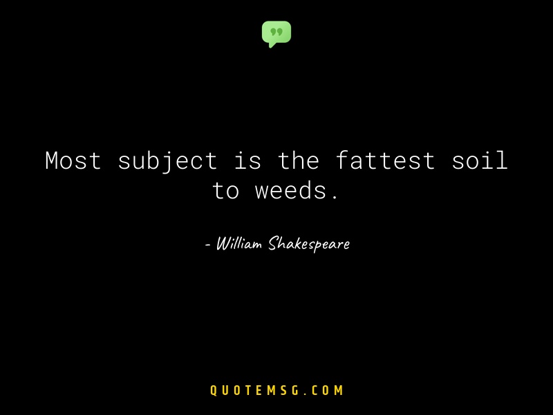 Image of William Shakespeare