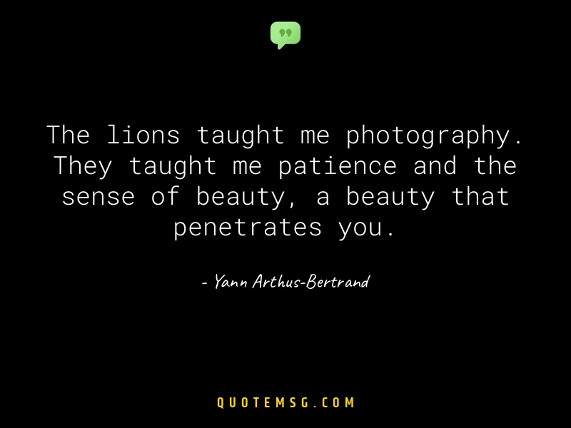 Image of Yann Arthus-Bertrand